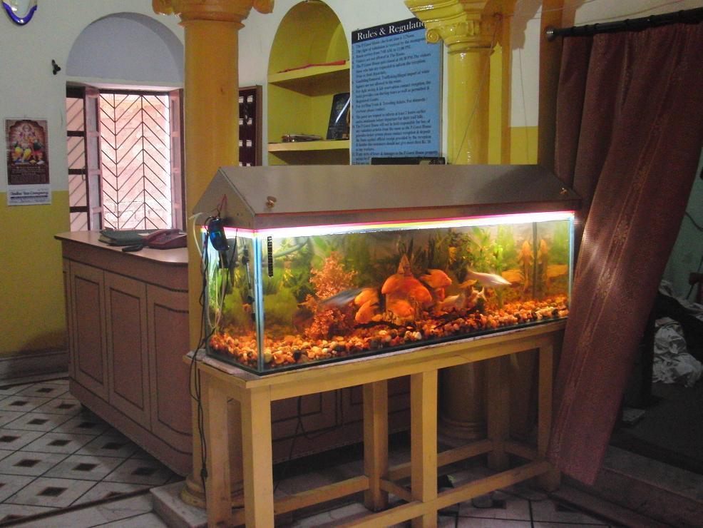 Shivakashi Guest House Varanasi Eksteriør bilde